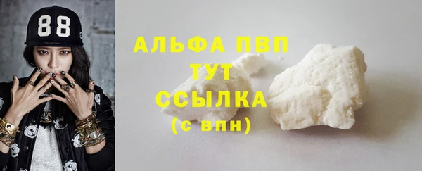 дурь Бородино