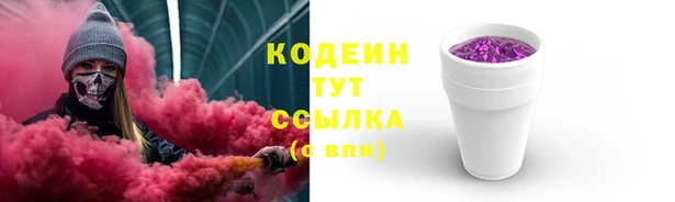 дурь Бородино