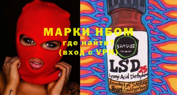 дурь Бородино