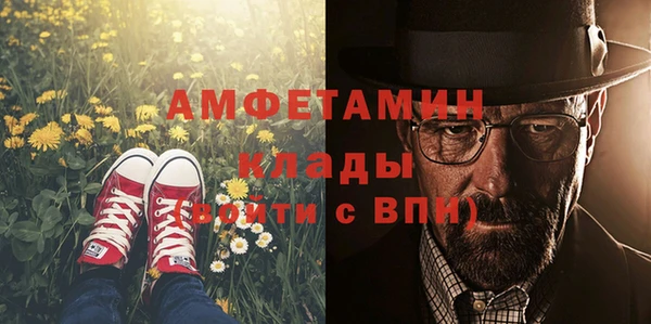 дурь Бородино