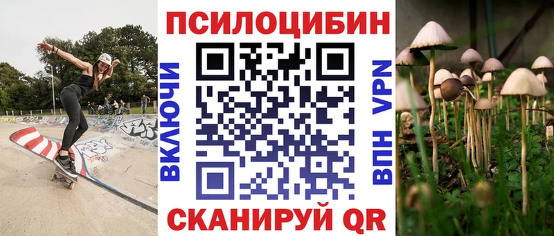Купить закладки  Дорогобуж  Псилоцибиновые грибы Cubensis 